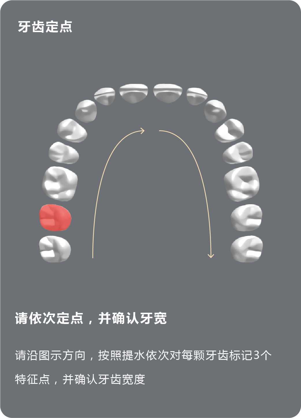 FusionAnalyser模型分析软件